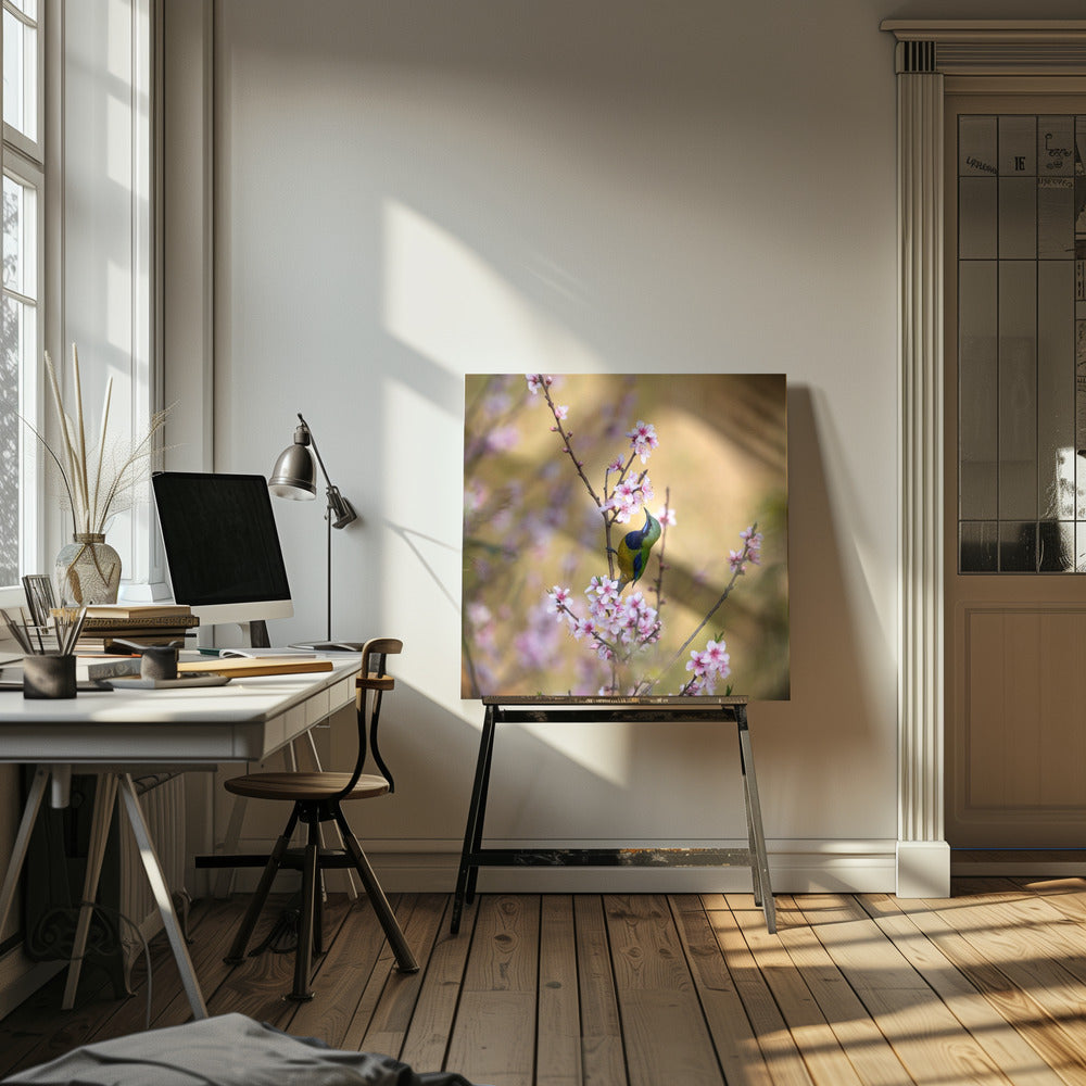 Canvas - Bird Whispering to the Peach Flower - Admen.dk