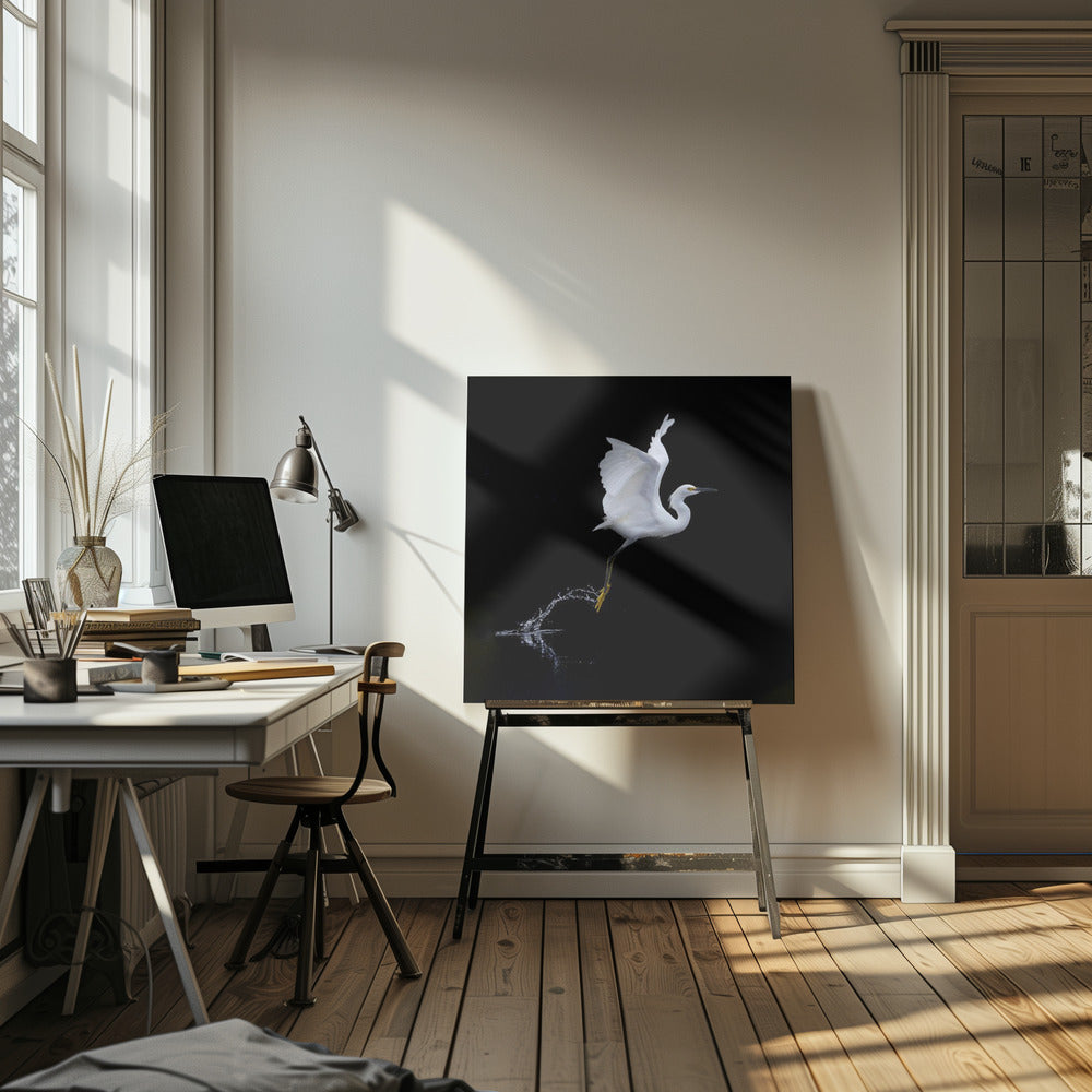 Canvas - fly - Admen.dk