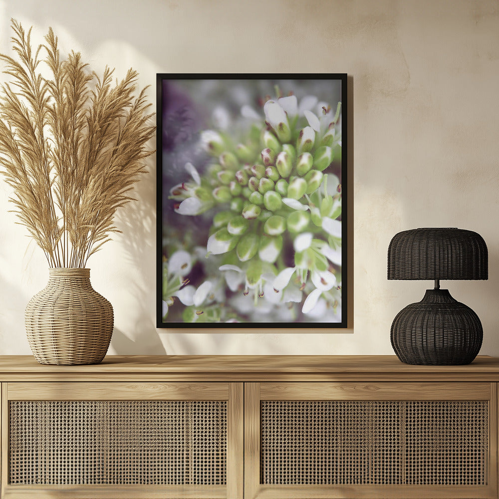 Poster - Cluster II