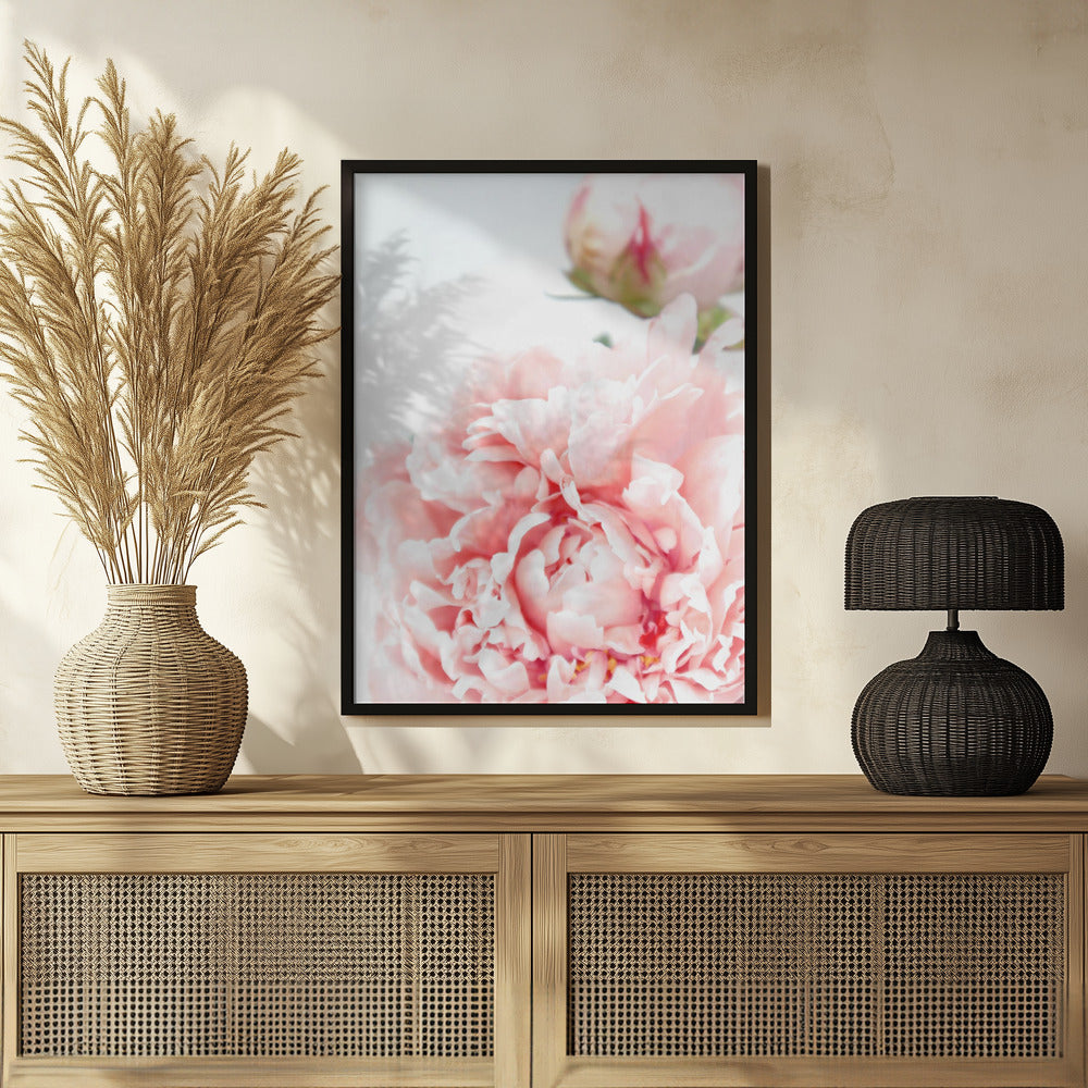 Poster - Blush peony IX