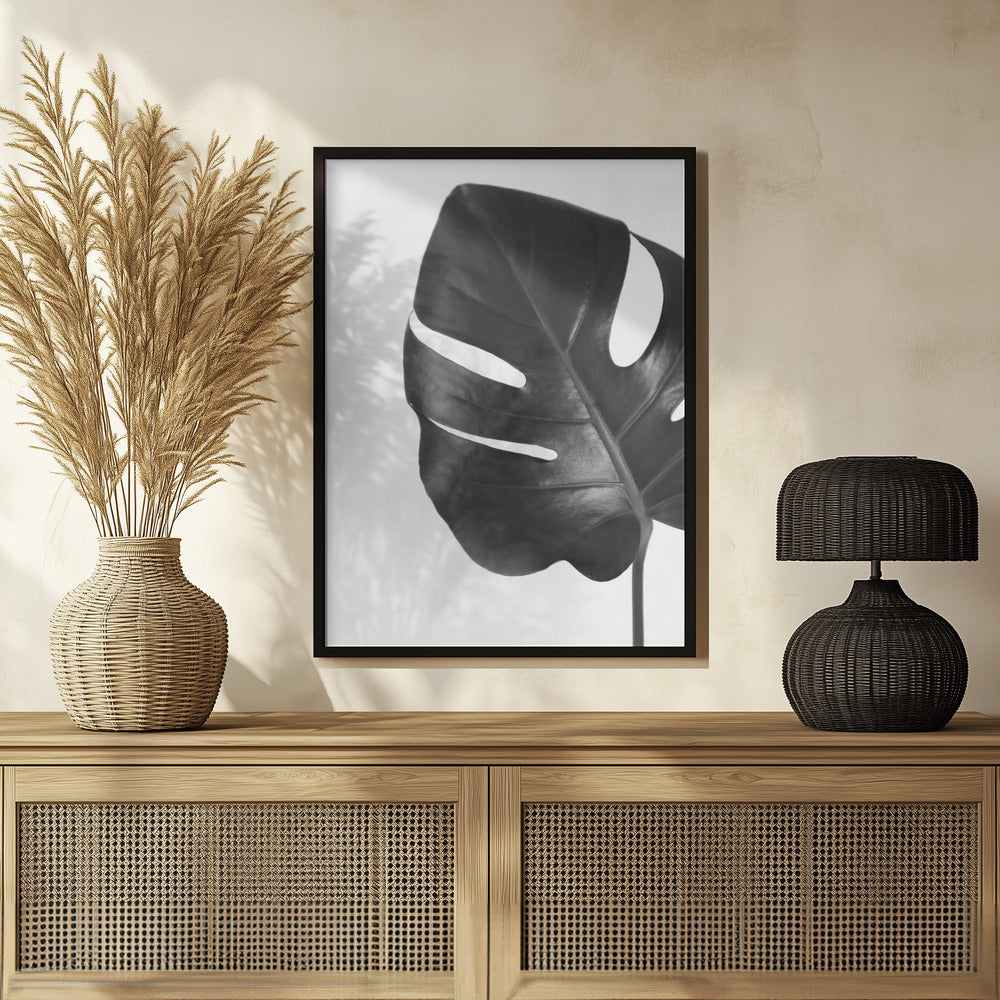 Poster - Gray monstera leaf
