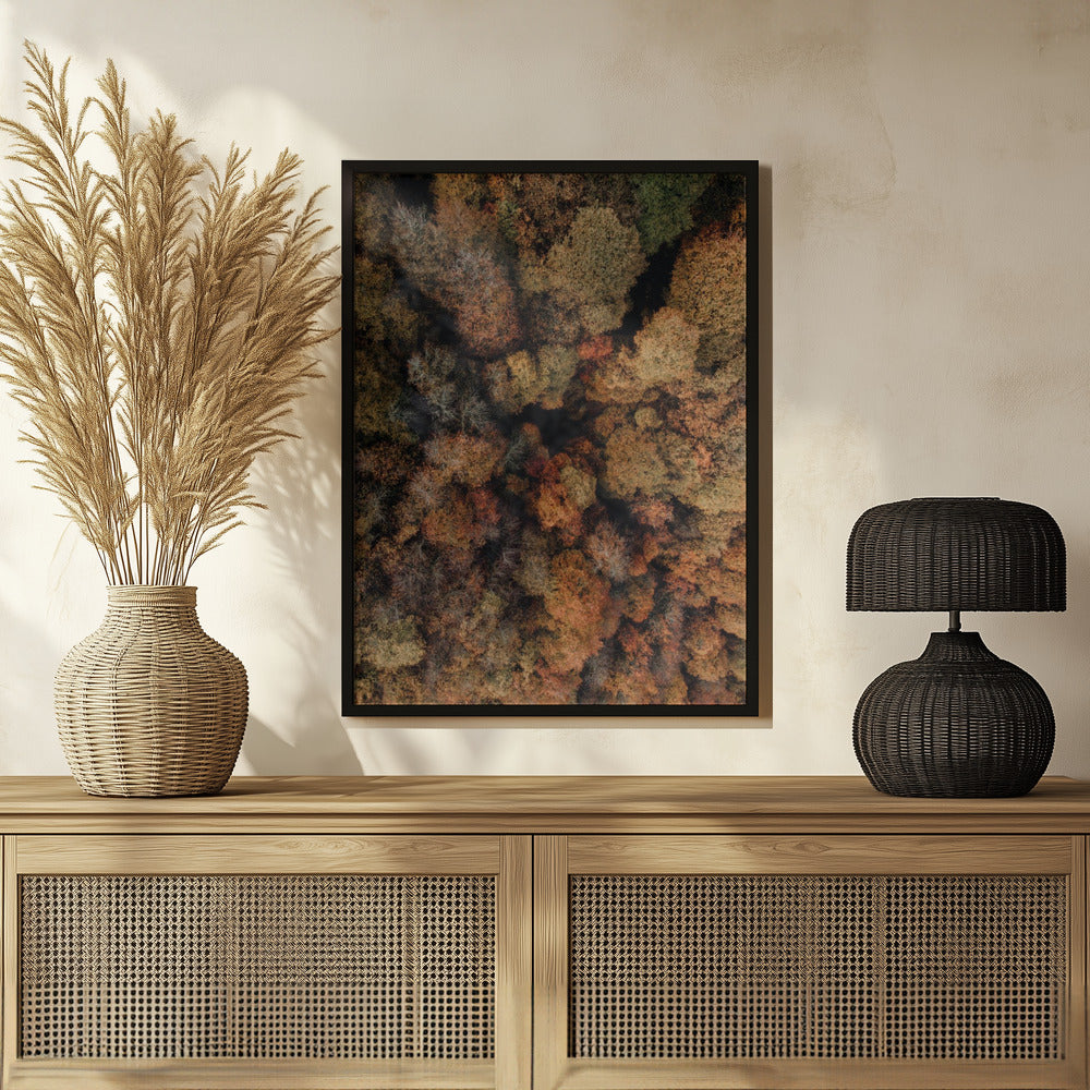 Plakat - Autumn Forest 14 - Admen.dk