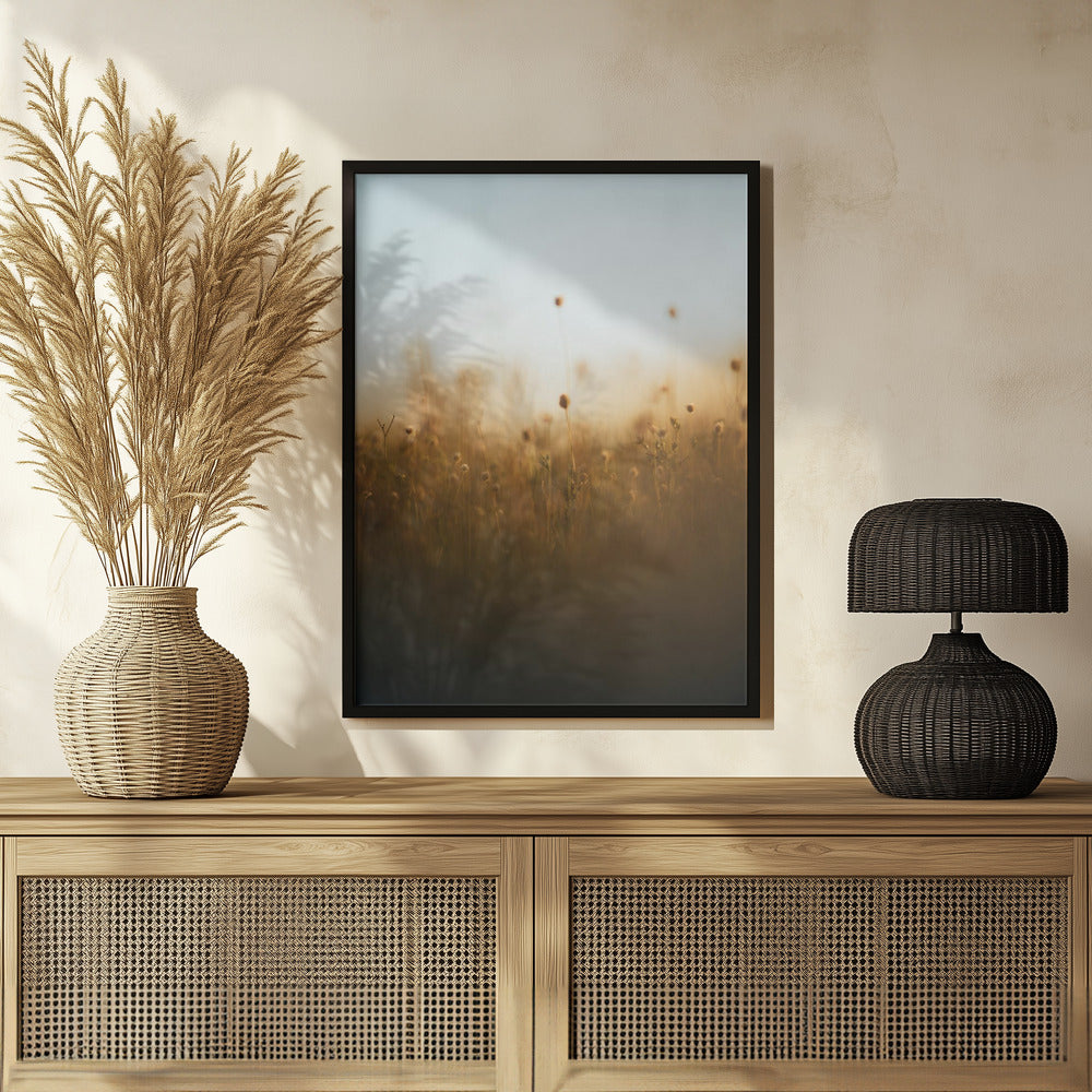 Plakat - Morning Grass Fileld 03 - Admen.dk