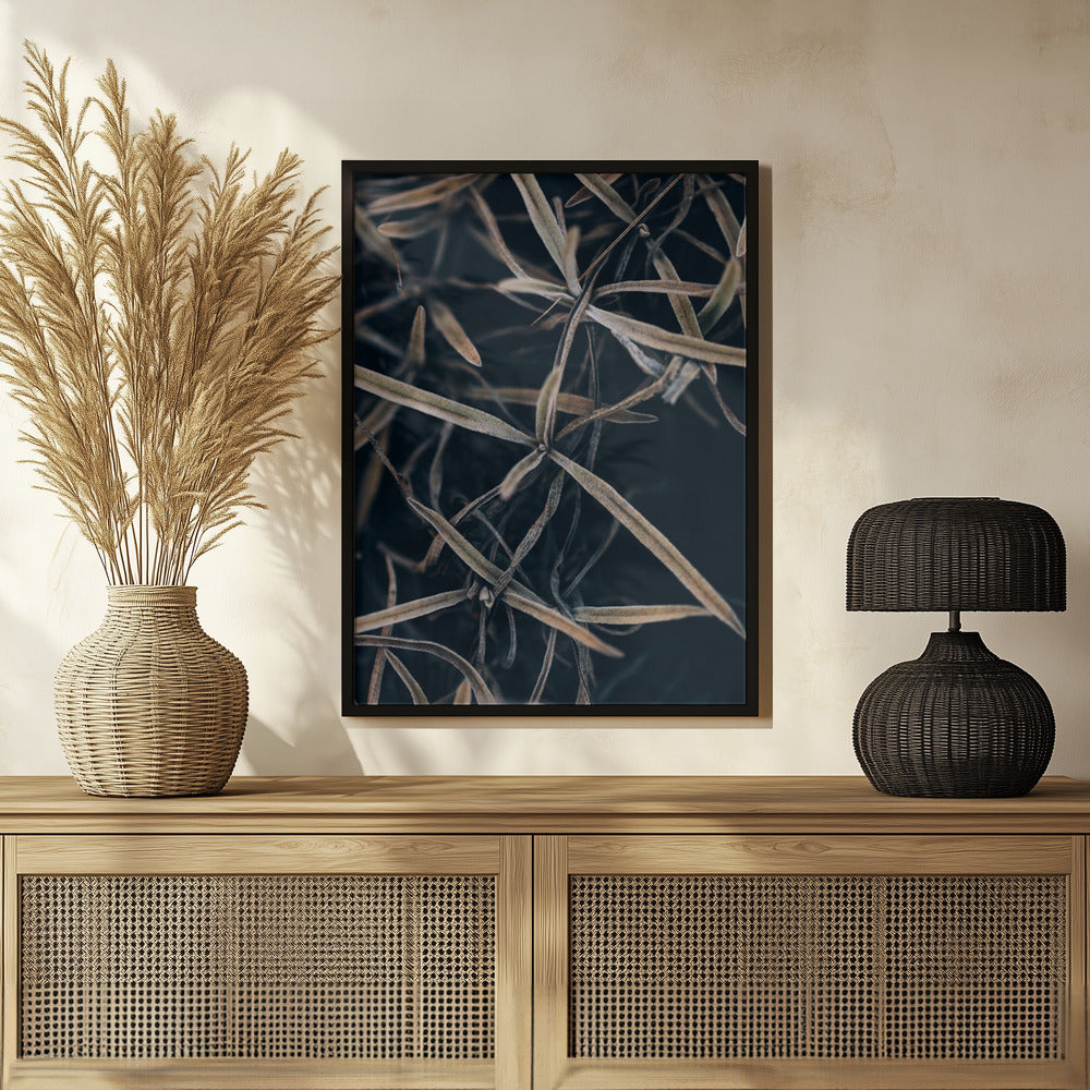 Plakat - Dried plants - Admen.dk