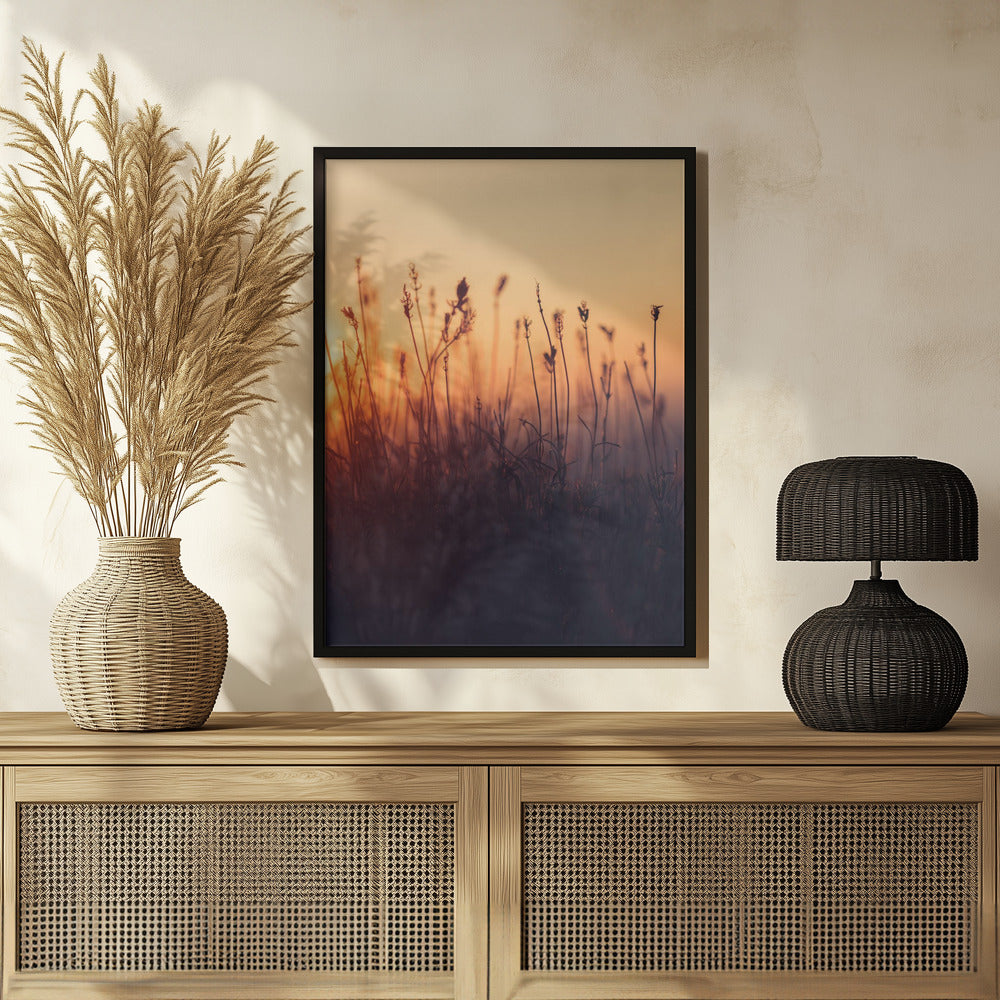 Plakat - Sunset Grass Filelds 06 - Admen.dk