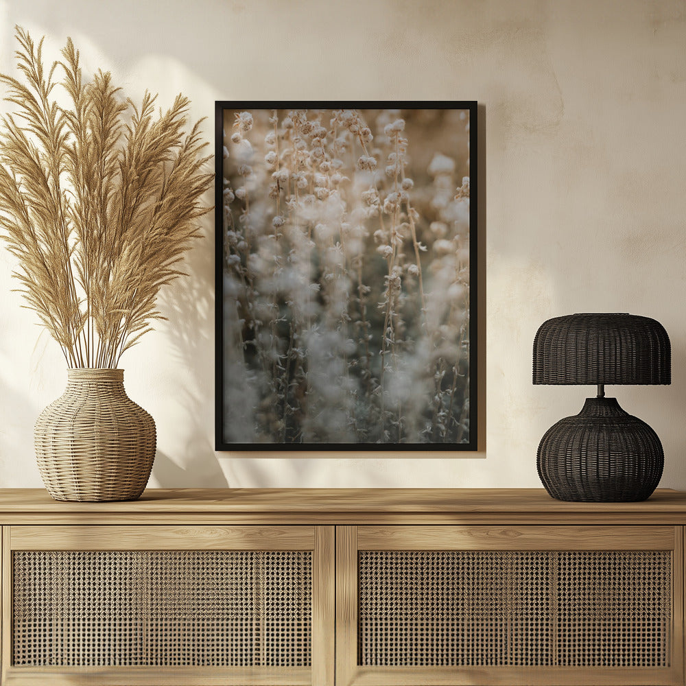 Plakat - Plants and Flowers 02 - Admen.dk