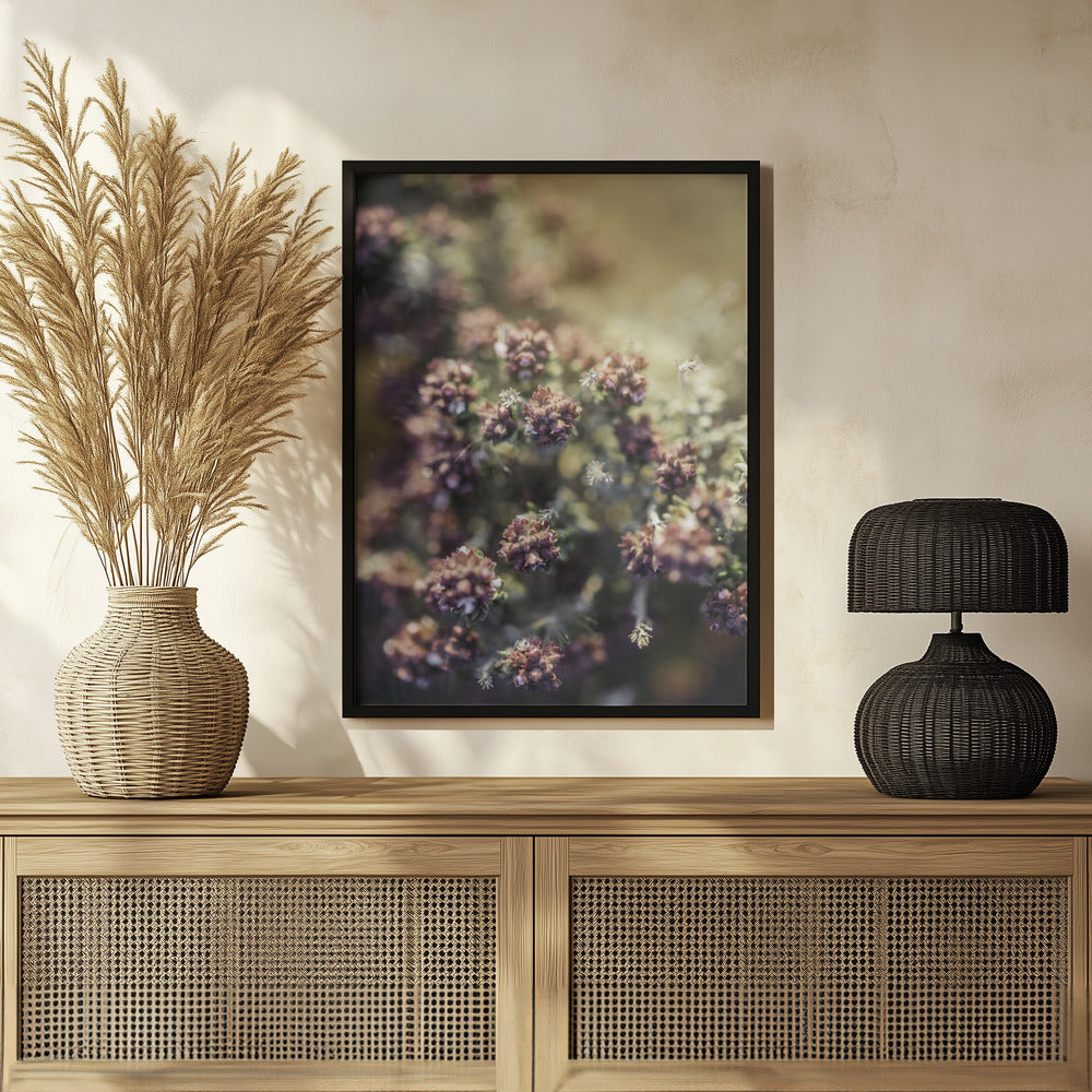 Plakat - Plants and Flowers 05 - Admen.dk