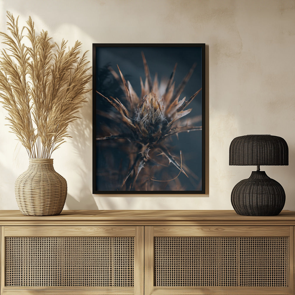 Plakat - Thistle 02 - Admen.dk
