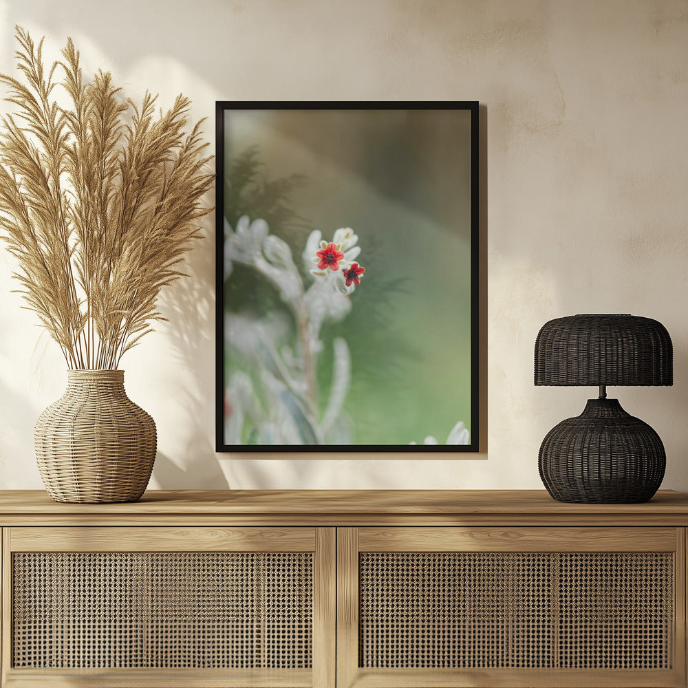 Plakat - Red Flowers 50 - Admen.dk