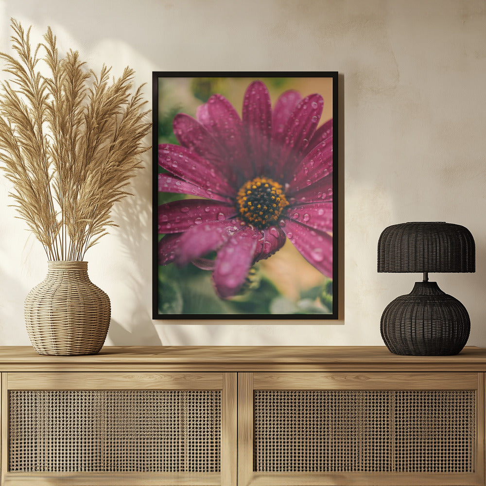Plakat - Pink Flowers 039 - Admen.dk