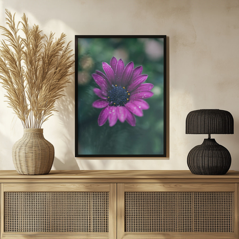 Poster - Purple Flowers 07