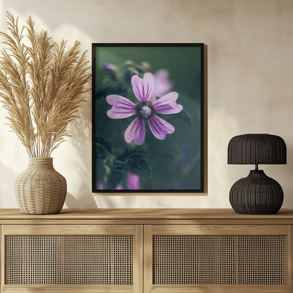 Plakat - Purple Flowers 13 - Admen.dk
