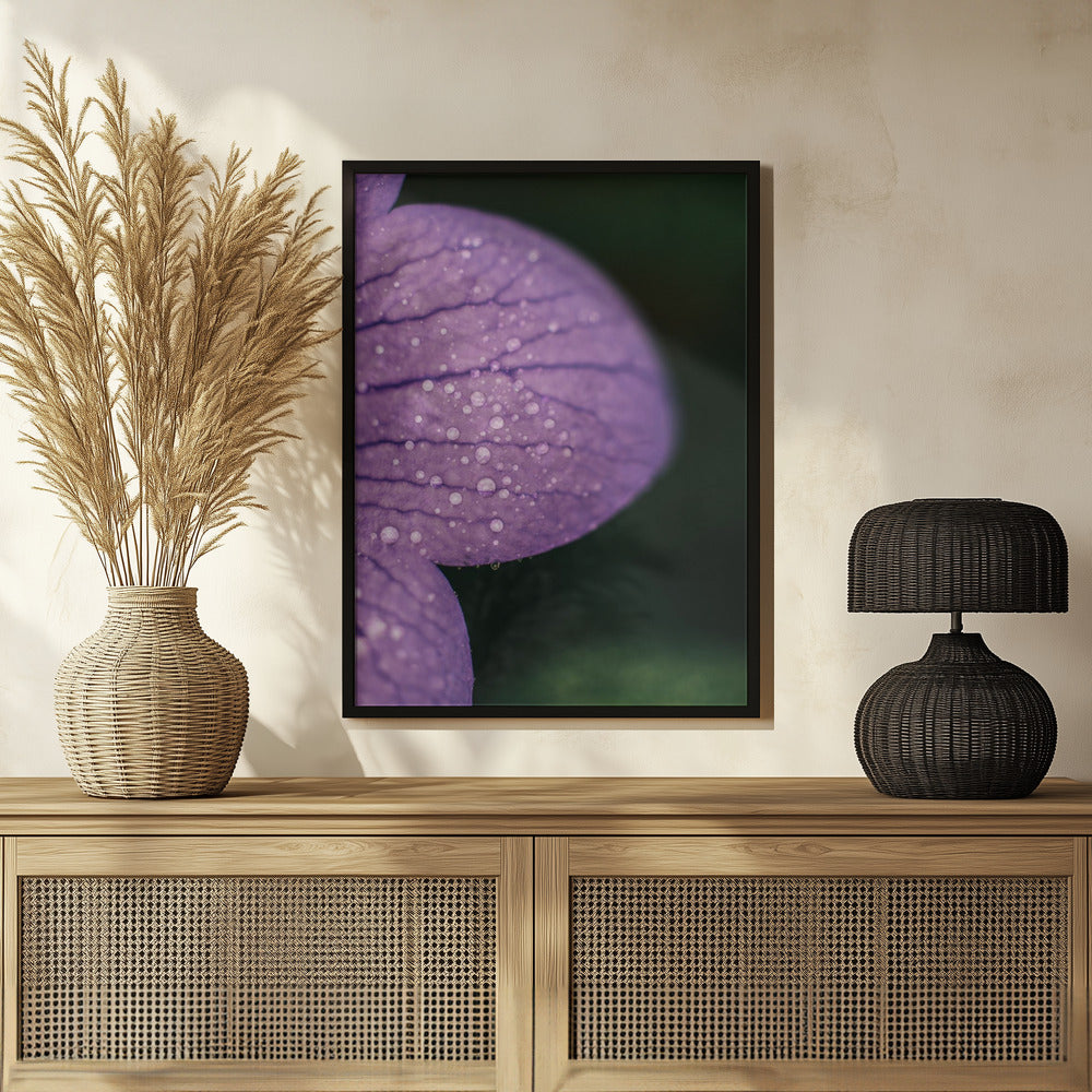 Plakat - Purple Flowers 19 - Admen.dk