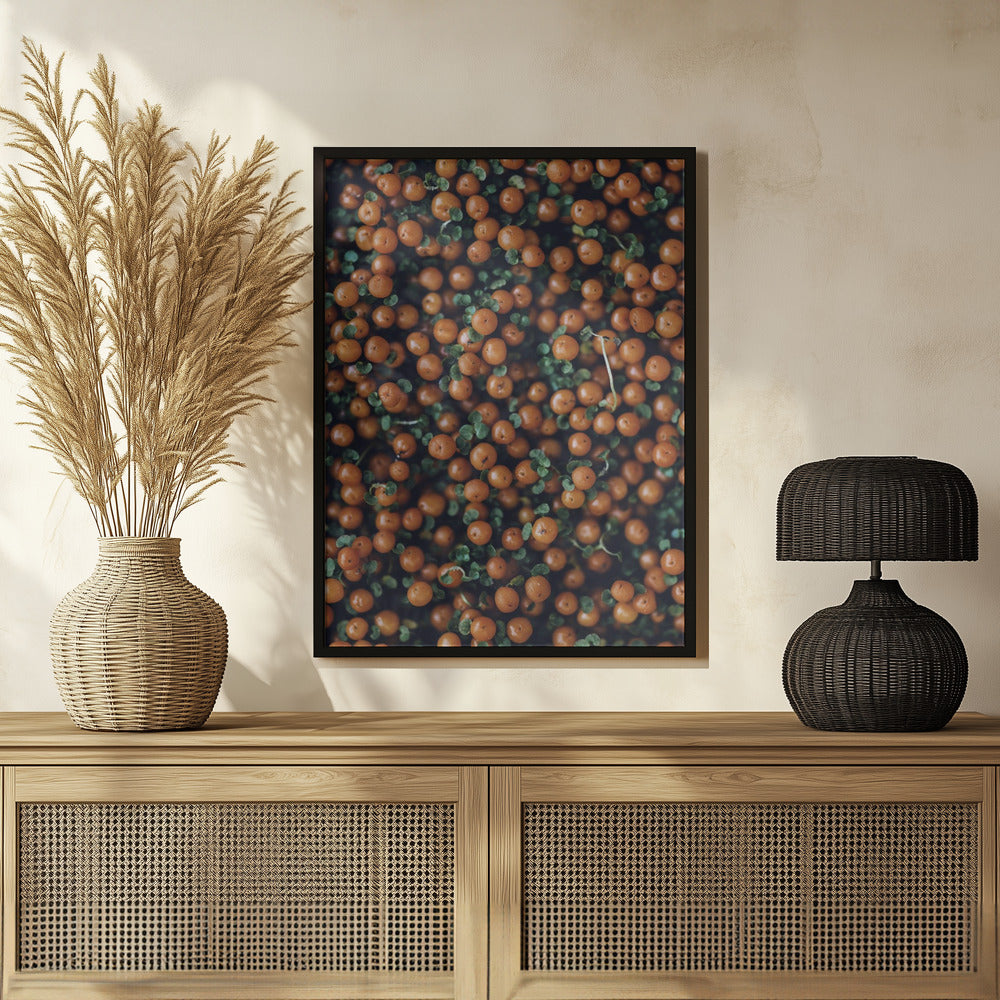 Plakat - Red Berries 02 - Admen.dk