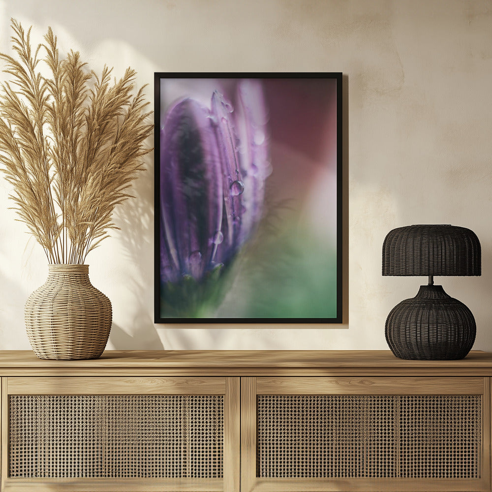 Plakat - Purple Flowers 04 - Admen.dk