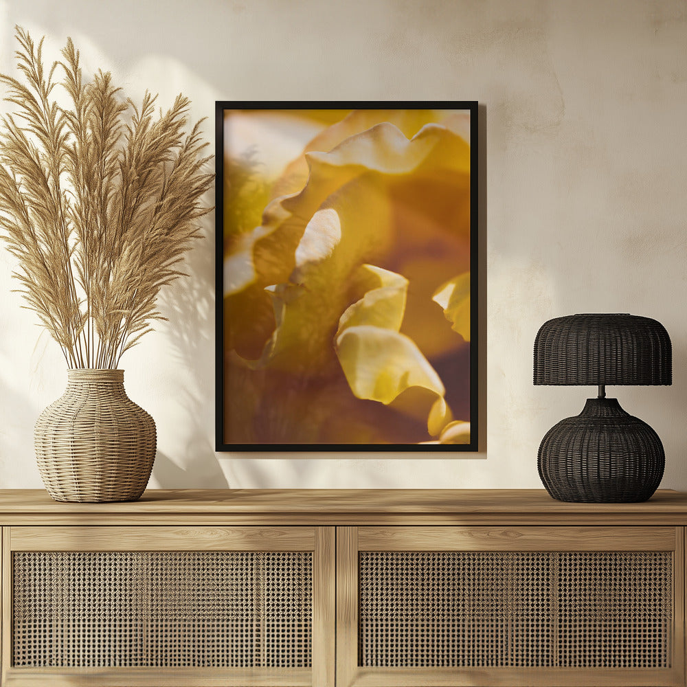 Plakat - Summer Flowers 19 - Admen.dk