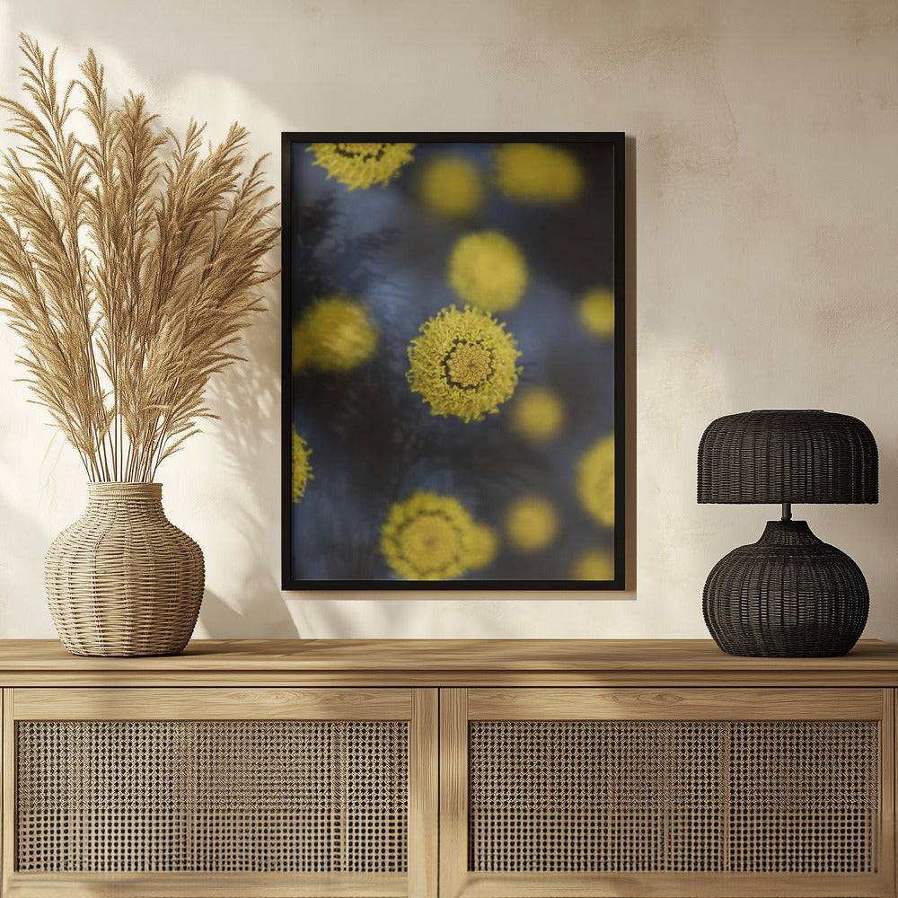 Plakat - Summer Flowers 24 - Admen.dk