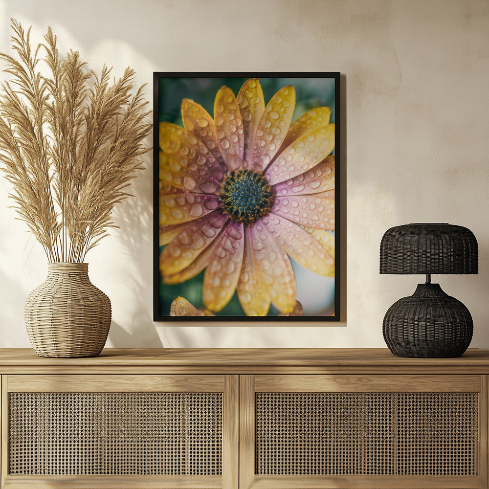 Plakat - Summer Flowers 34 - Admen.dk
