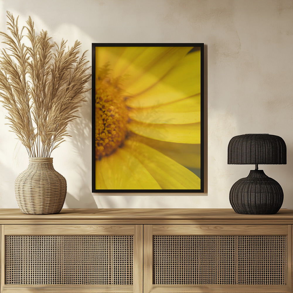 Plakat - Summer Flowers 42 - Admen.dk
