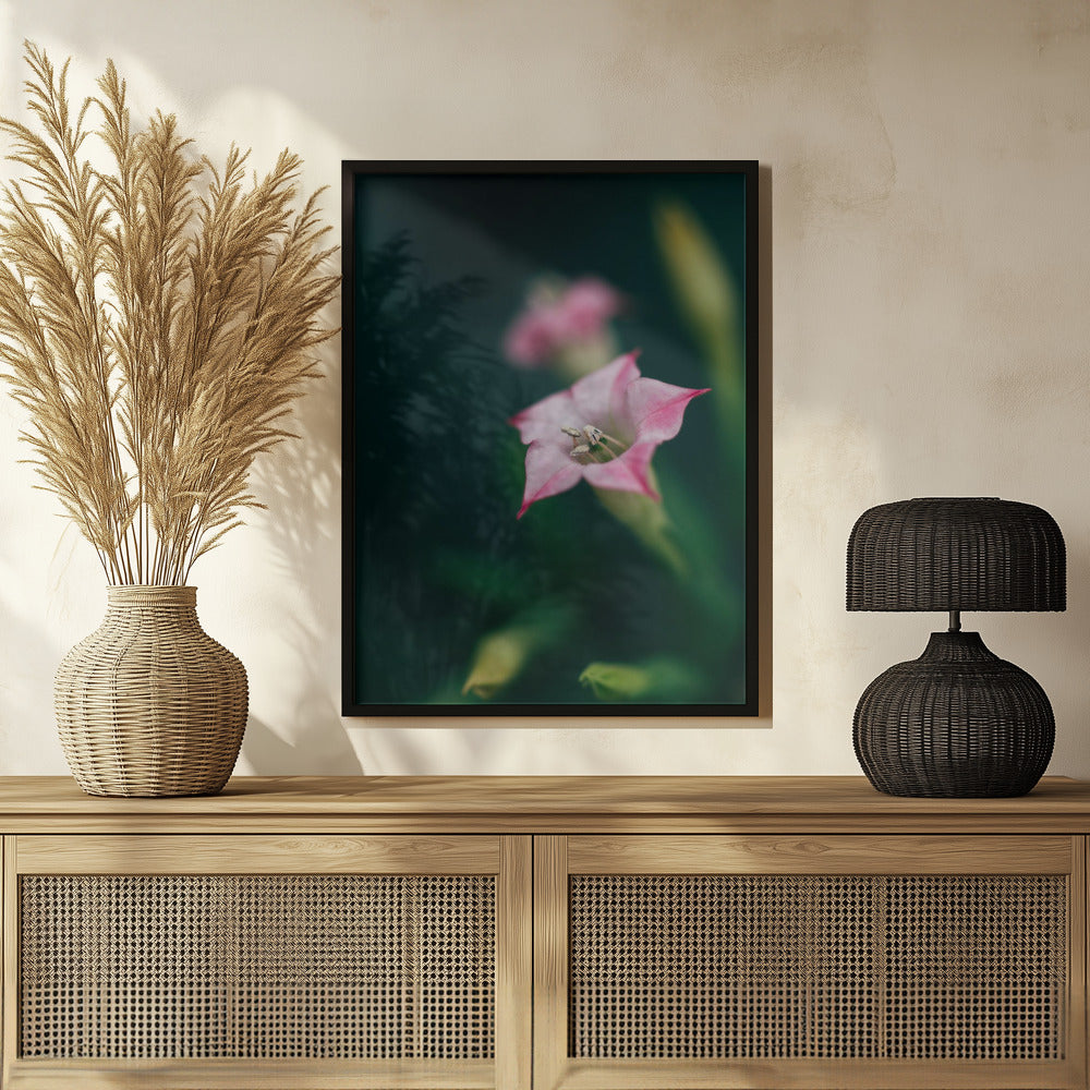 Plakat - Summer Flowers 105 - Admen.dk