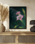 Plakat - Summer Flowers 105 - Admen.dk