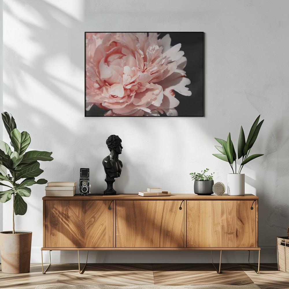 Poster - Blush peony VI