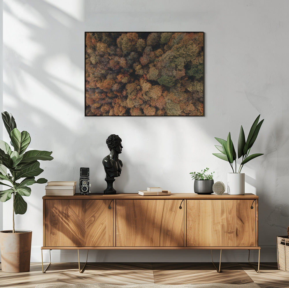 Plakat - Autumn Forest 07 - Admen.dk