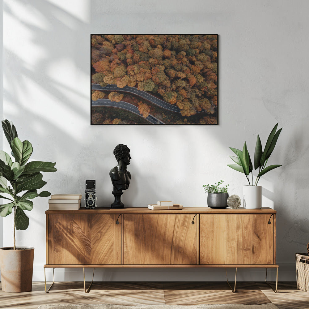 Plakat - Autumn Forest 08 - Admen.dk
