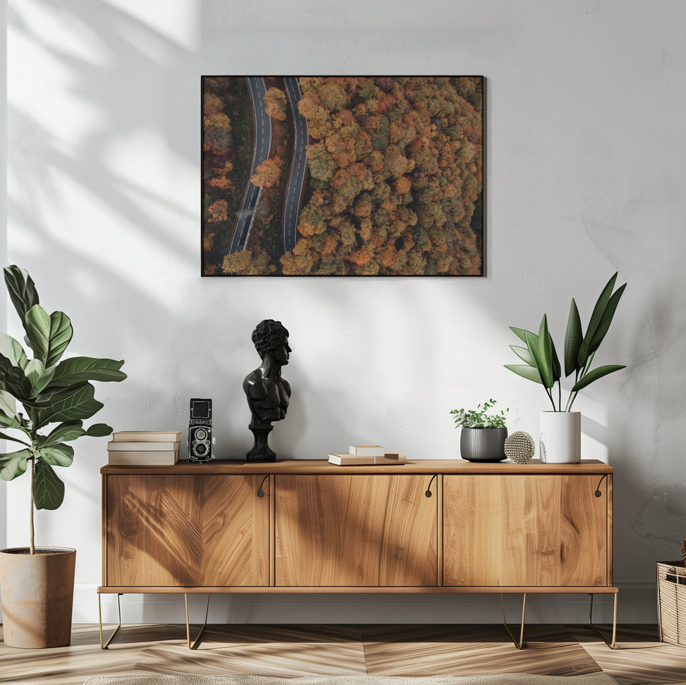 Plakat - Autumn Forest 09 - Admen.dk