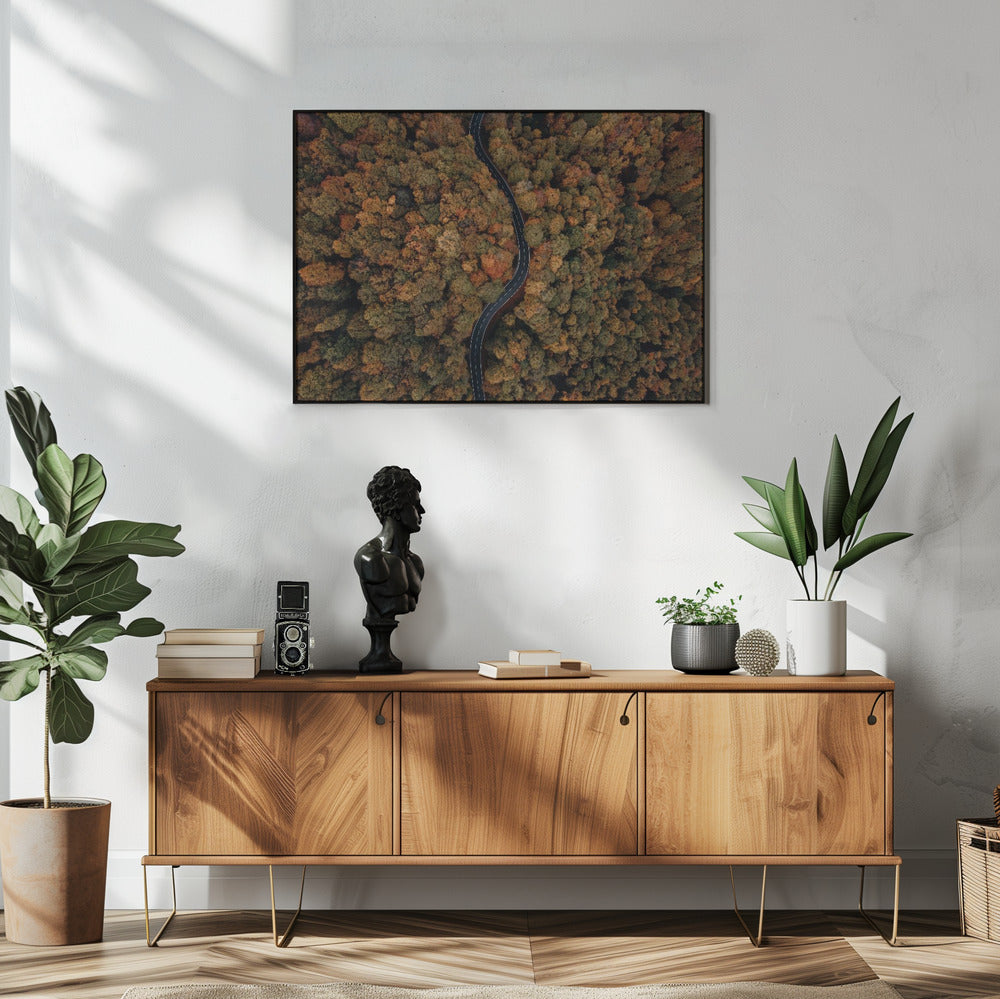Plakat - Autumn Forest 12 - Admen.dk
