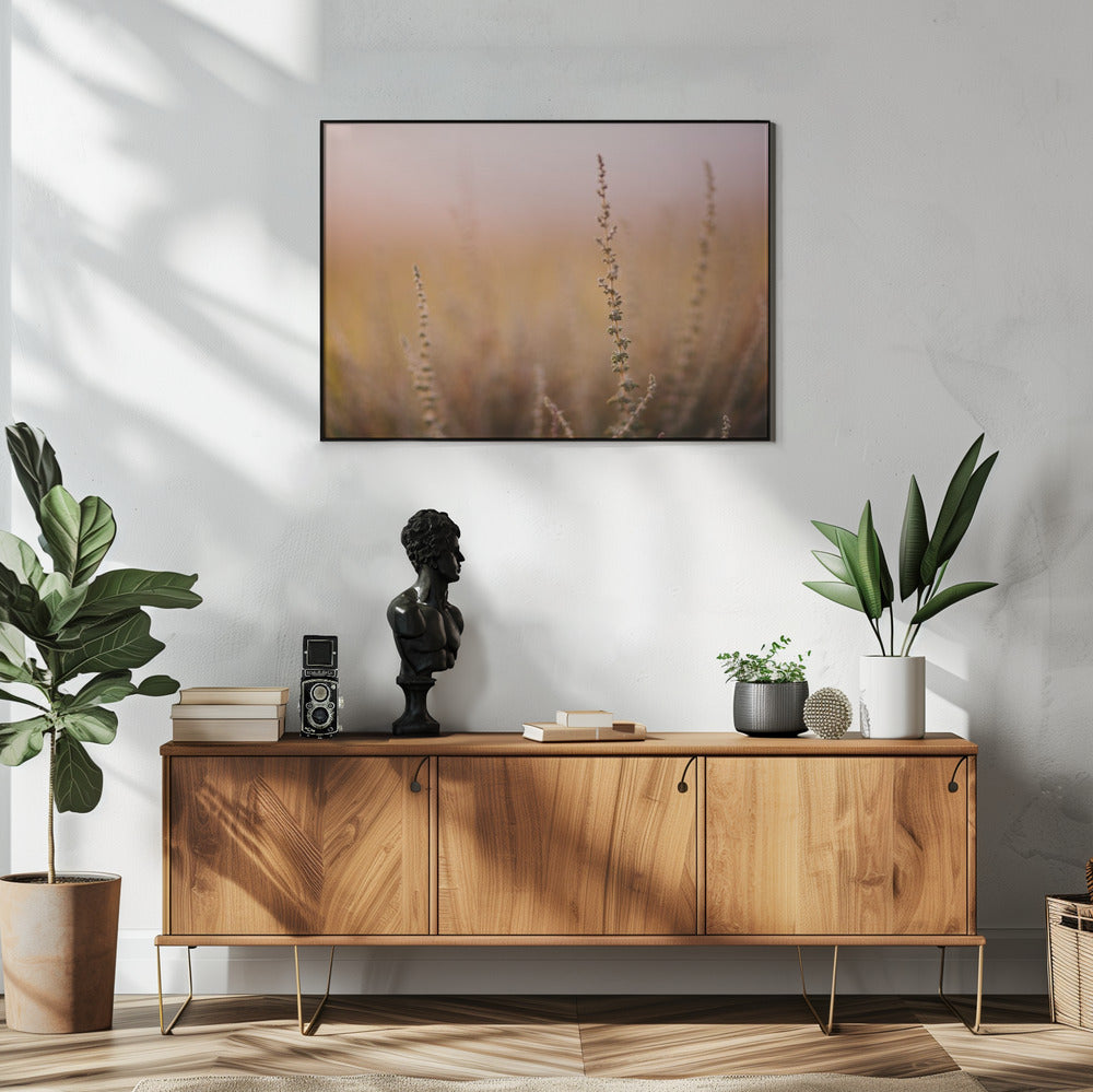Plakat - Morning Grass Fileld 01 - Admen.dk