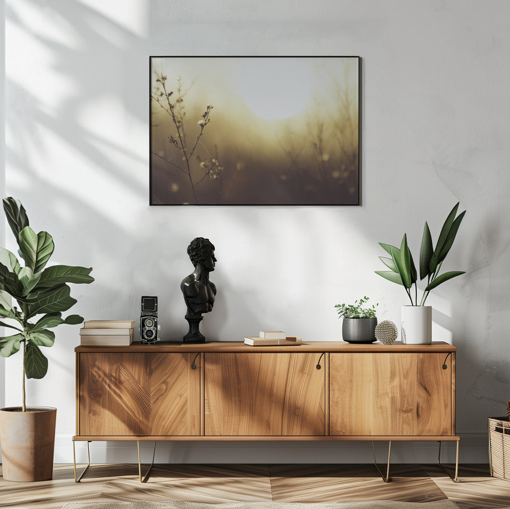 Plakat - Morning Grass Filelds 12 - Admen.dk