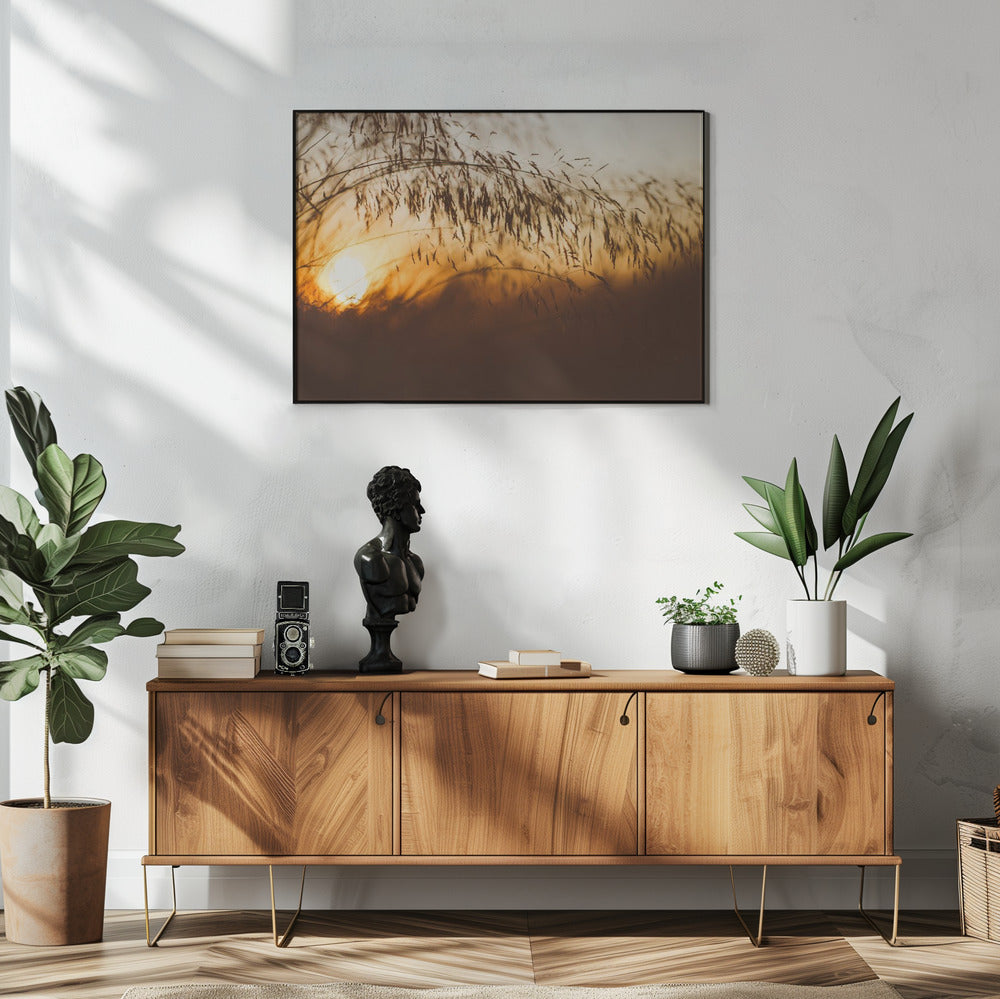 Plakat - Morning Grass Filelds 13 - Admen.dk