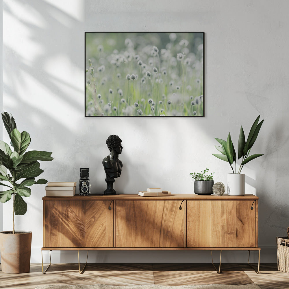 Plakat - White Flowers 04 - Admen.dk