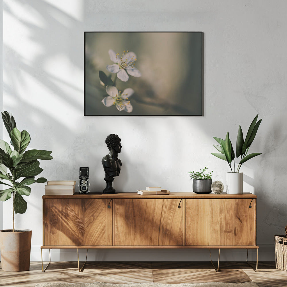 Plakat - White Flowers 6 - Admen.dk