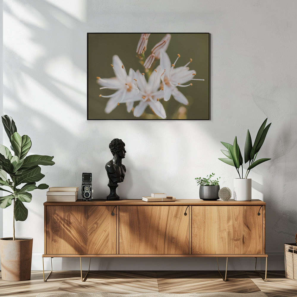 Plakat - White Flowers 10 - Admen.dk
