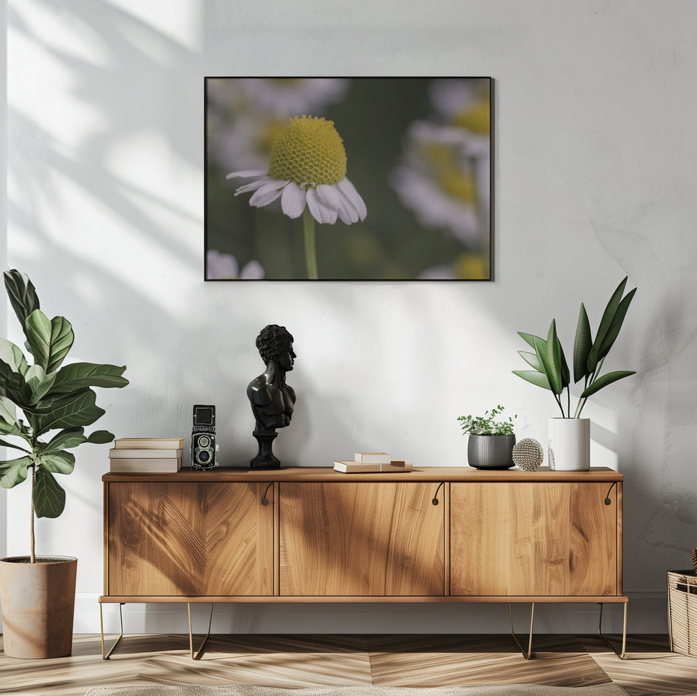 Plakat - Summer Flowers 7 - Admen.dk