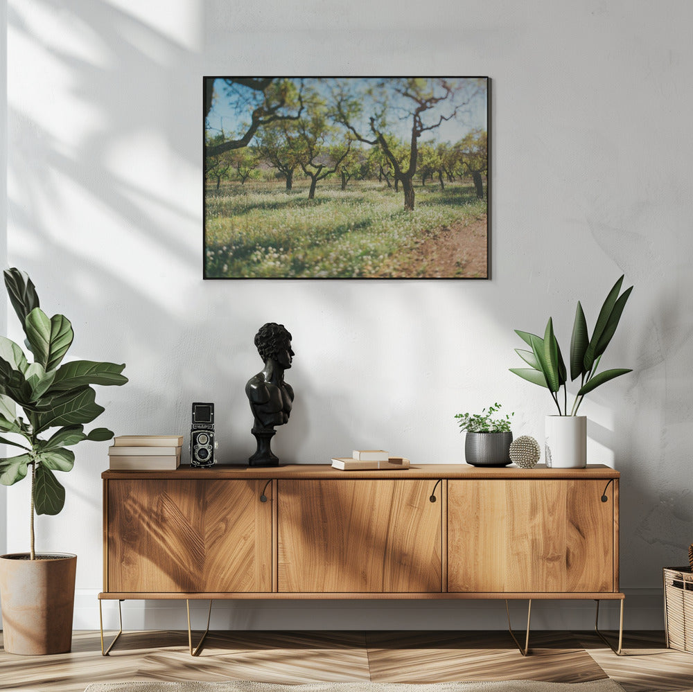 Plakat - Apple Trees 03 - Admen.dk