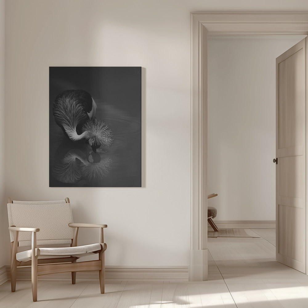 Canvas - The reflection - Admen.dk
