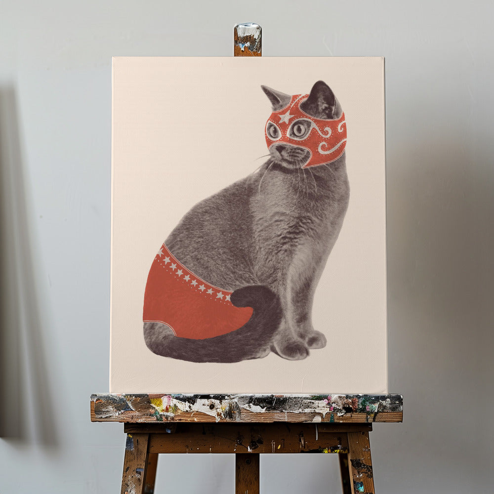 Canvas - Chat Catcheur - Admen.dk