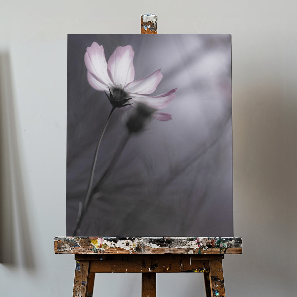 Canvas - Cosmos - Admen.dk