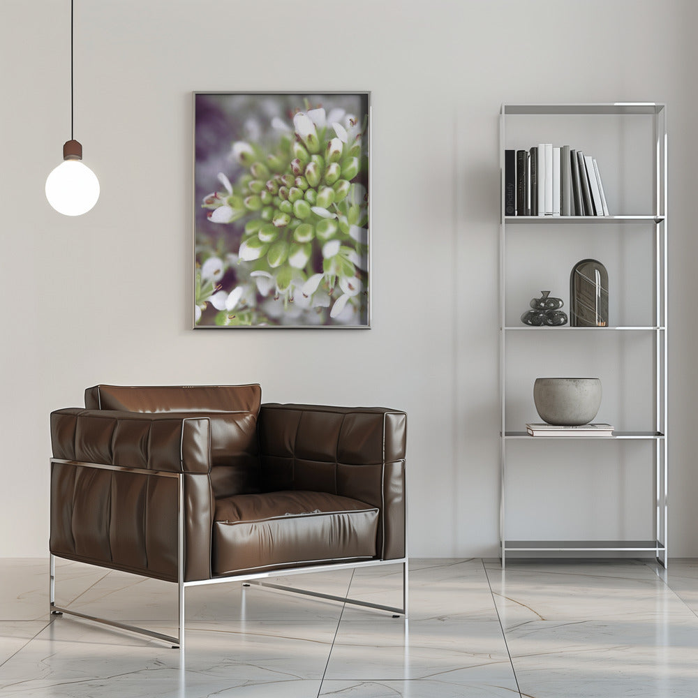 Poster - Cluster II
