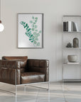 Poster - Two eucalyptus branches