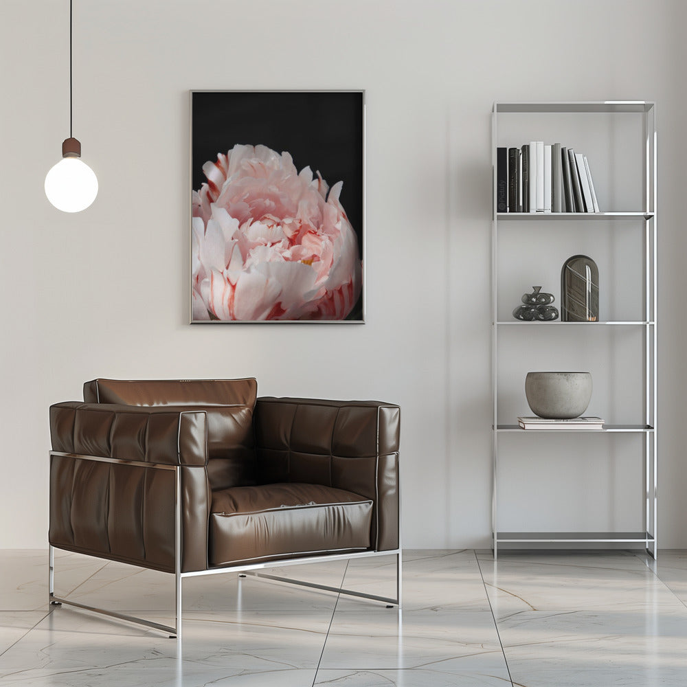 Poster - Blush peony VIII