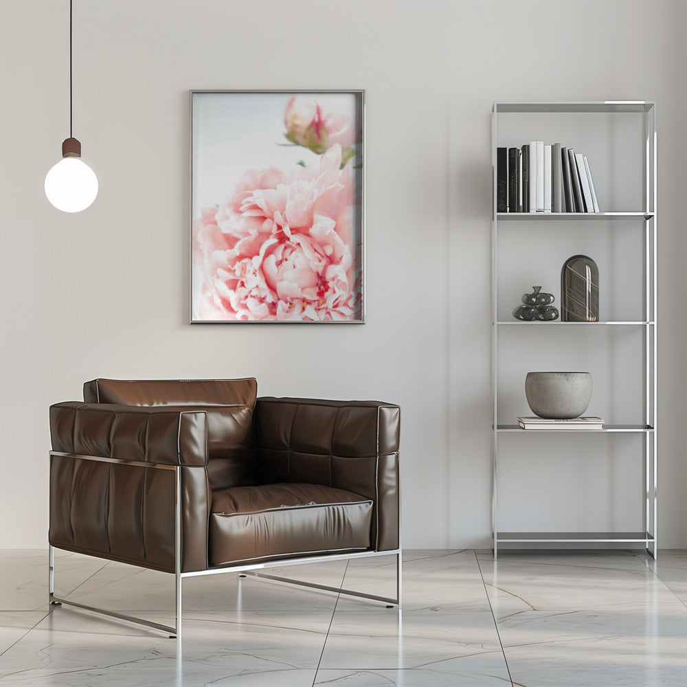 Poster - Blush peony IX