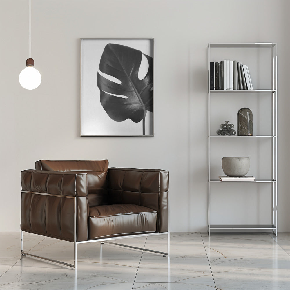 Poster - Gray monstera leaf