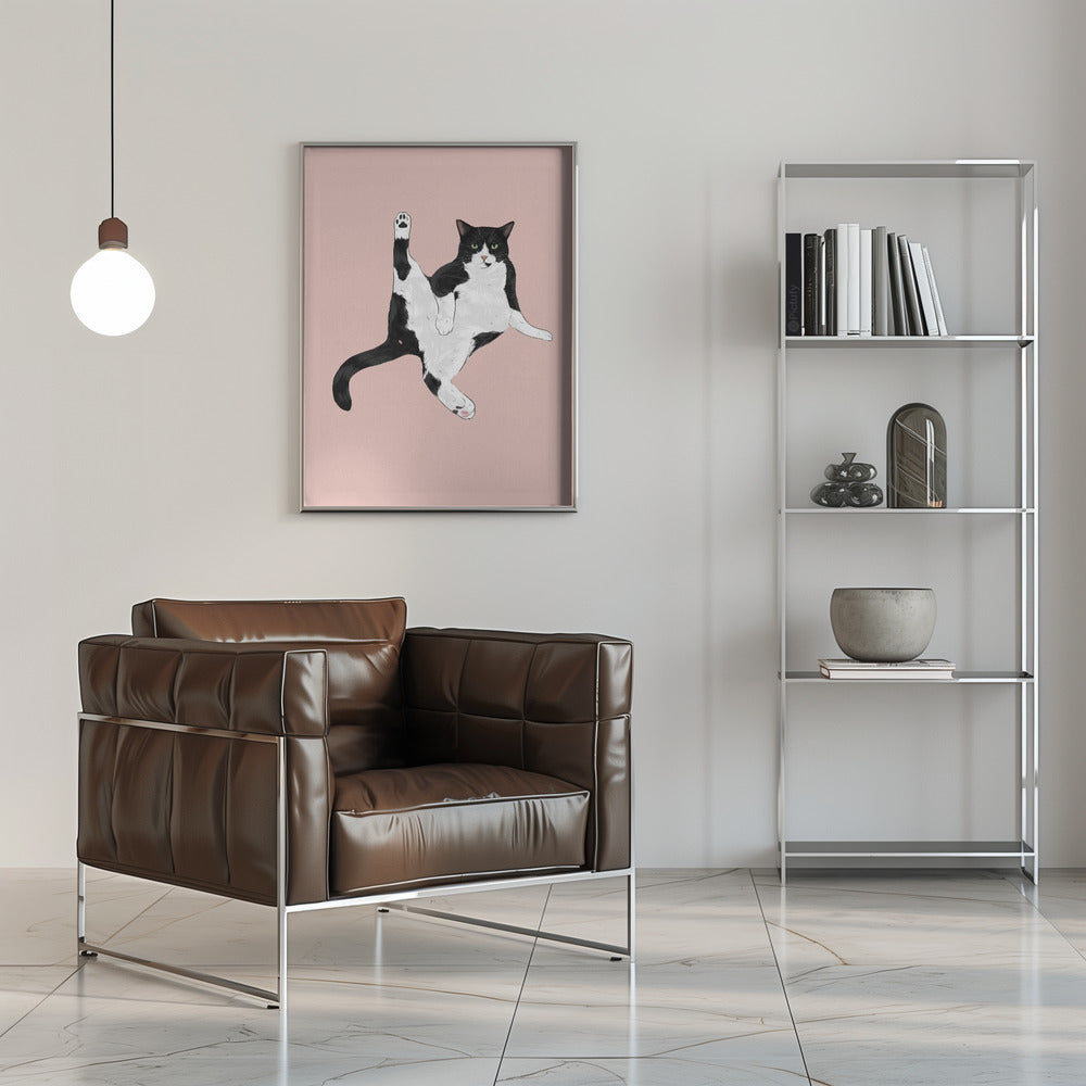 Plakat - Sassy Cat