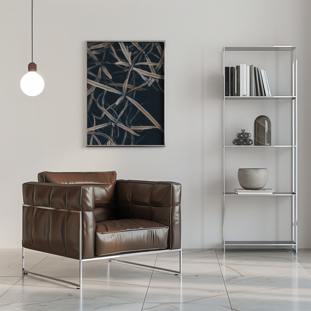 Plakat - Dried plants - Admen.dk