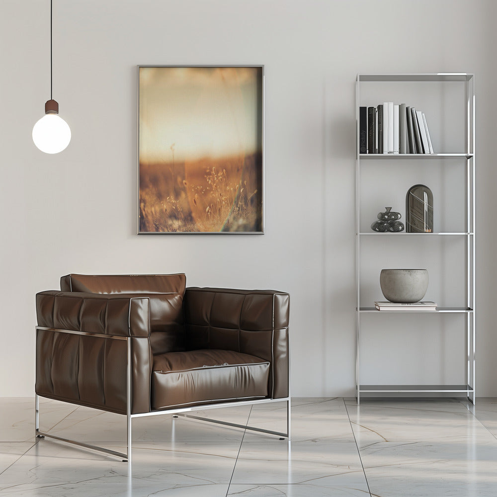 Plakat - Morning Grass Filelds 09 - Admen.dk