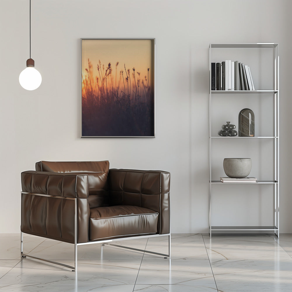 Plakat - Sunset Grass Filelds 06 - Admen.dk